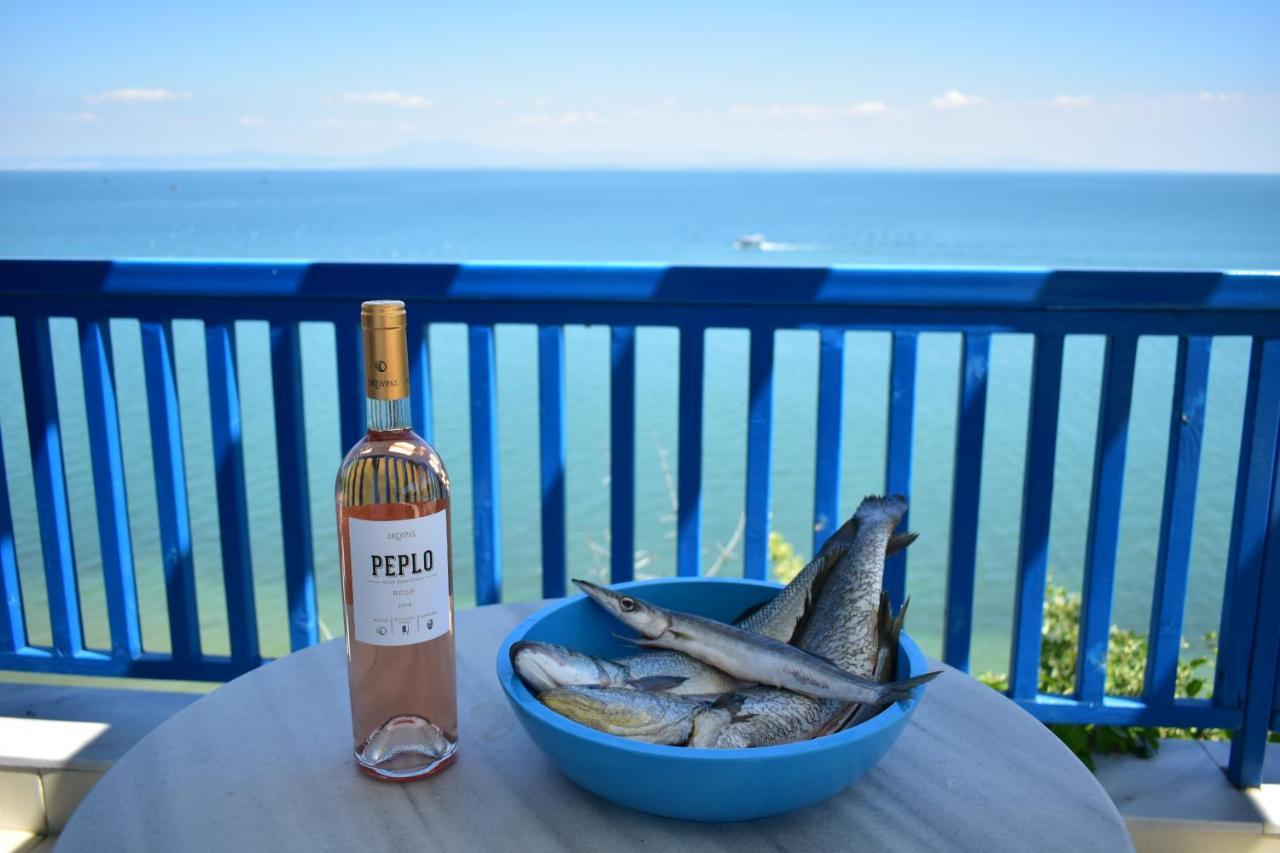 Navy Greece Villa With Swimming Pool & Sea View Μακρύγιαλος Εξωτερικό φωτογραφία